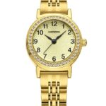 Çelik Kordonlu Kadın Kol Saati C002445